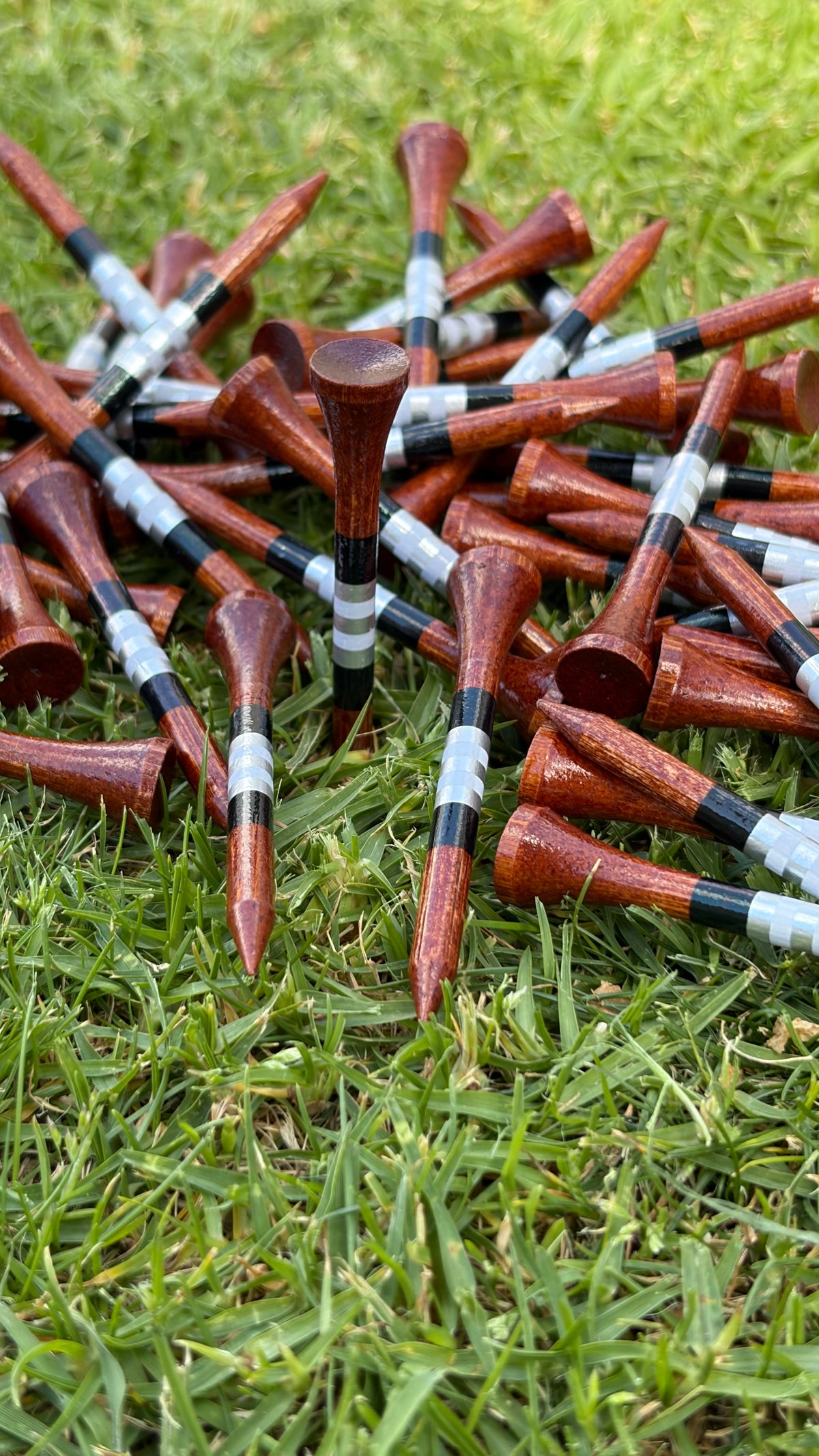 Level Pegs Season Pack: premium bamboo golf tees