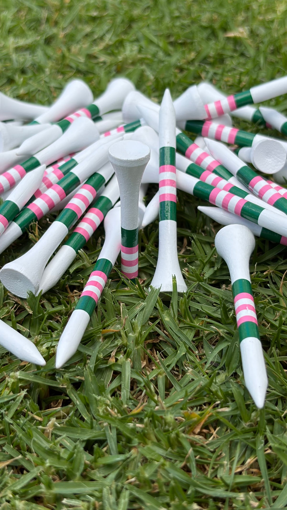 Level Pegs Holly bamboo golf tees